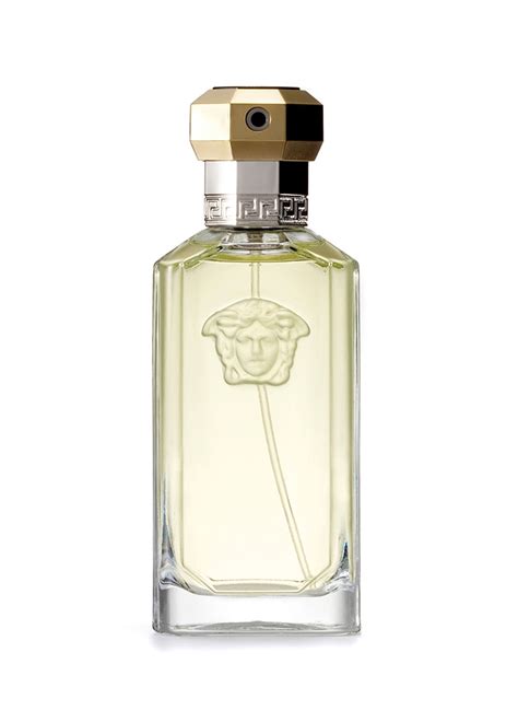 versace erkek|versace parfumleri.